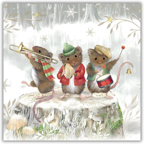 Charity christmas cards - charity, pack